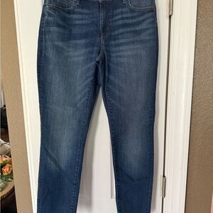 Ann Taylor Curvy Skinny Blue Jeans